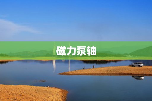 磁力泵轴