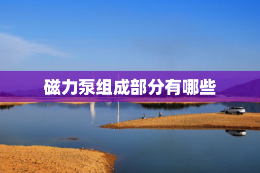 磁力泵组成部分有哪些