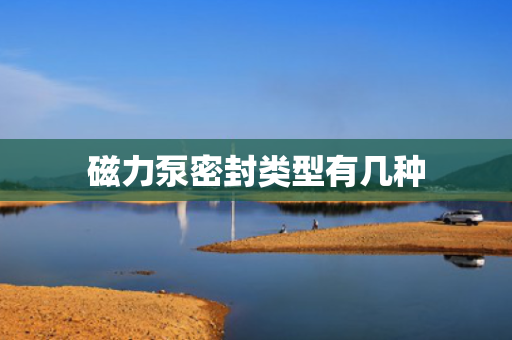磁力泵密封类型有几种