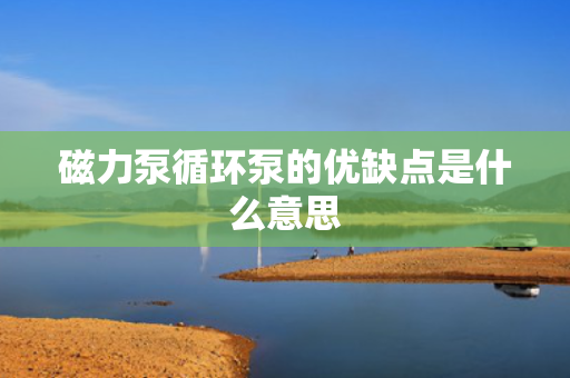 磁力泵循环泵的优缺点是什么意思