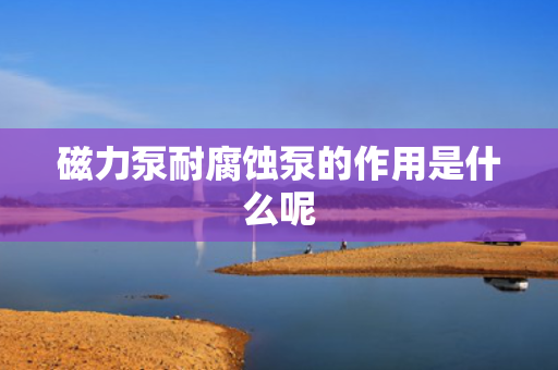 磁力泵耐腐蚀泵的作用是什么呢
