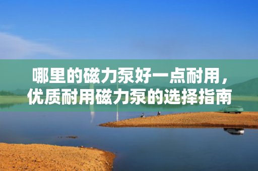 哪里的磁力泵好一点耐用，优质耐用磁力泵的选择指南，寻找行业内的佼佼者