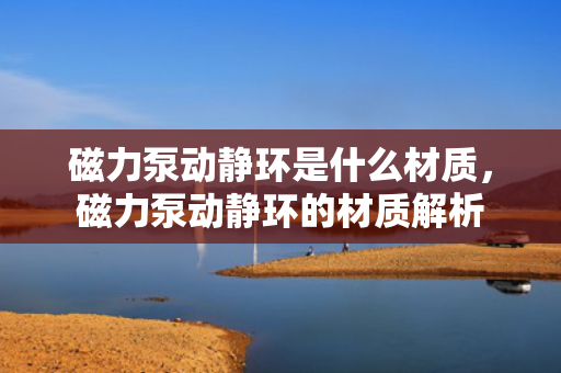 磁力泵动静环是什么材质，磁力泵动静环的材质解析