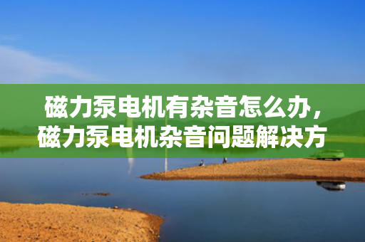 磁力泵电机有杂音怎么办，磁力泵电机杂音问题解决方案
