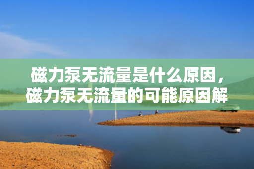 磁力泵无流量是什么原因，磁力泵无流量的可能原因解析