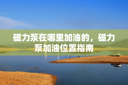 磁力泵在哪里加油的，磁力泵加油位置指南