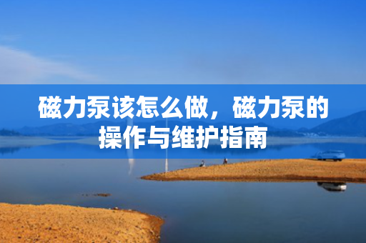 磁力泵该怎么做，磁力泵的操作与维护指南