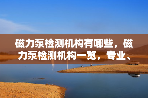 磁力泵检测机构有哪些，磁力泵检测机构一览，专业、可靠的检测服务提供者