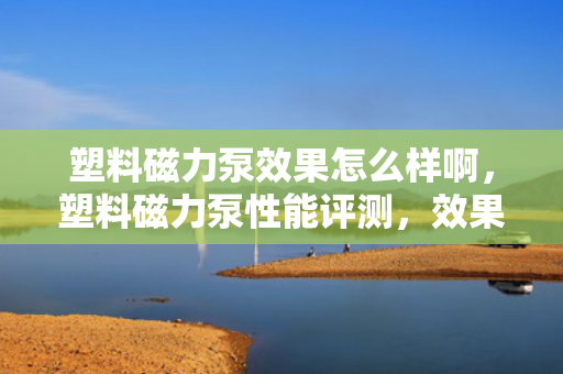 塑料磁力泵效果怎么样啊，塑料磁力泵性能评测，效果究竟如何？