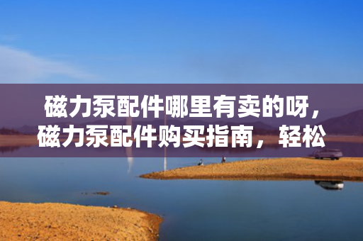 磁力泵配件哪里有卖的呀，磁力泵配件购买指南，轻松找到销售点