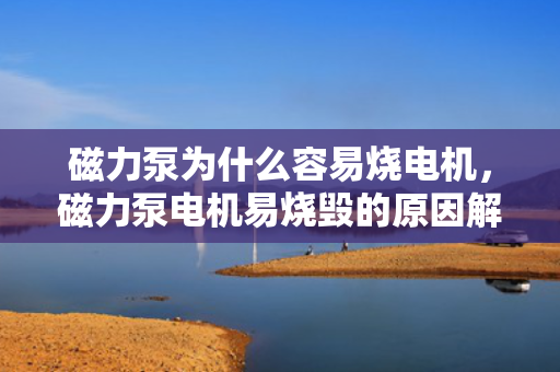 磁力泵为什么容易烧电机，磁力泵电机易烧毁的原因解析