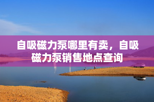 自吸磁力泵哪里有卖，自吸磁力泵销售地点查询