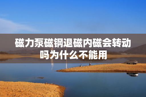 磁力泵磁钢退磁内磁会转动吗为什么不能用