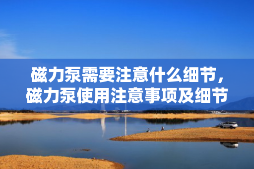 磁力泵需要注意什么细节，磁力泵使用注意事项及细节指南