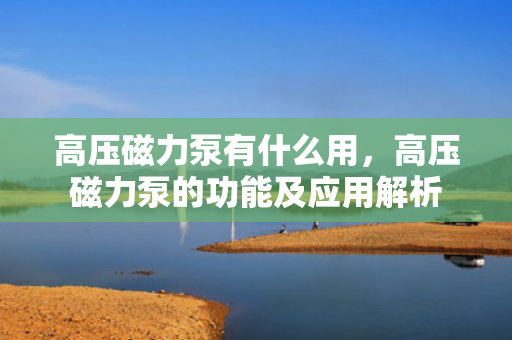 高压磁力泵有什么用，高压磁力泵的功能及应用解析