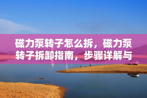 磁力泵转子怎么拆，磁力泵转子拆卸指南，步骤详解与注意事项