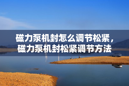 磁力泵机封怎么调节松紧，磁力泵机封松紧调节方法