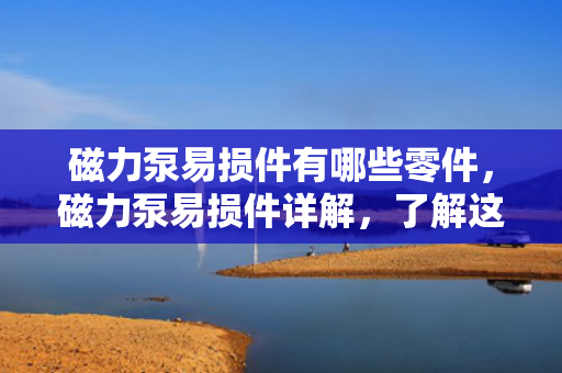 磁力泵易损件有哪些零件，磁力泵易损件详解，了解这些关键零件，确保设备顺畅运行