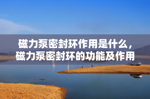 磁力泵密封环作用是什么，磁力泵密封环的功能及作用解析