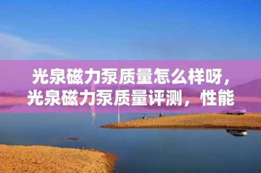 光泉磁力泵质量怎么样呀，光泉磁力泵质量评测，性能与耐用性探究
