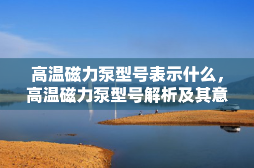 高温磁力泵型号表示什么，高温磁力泵型号解析及其意义