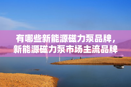 有哪些新能源磁力泵品牌，新能源磁力泵市场主流品牌推荐