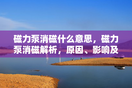 磁力泵消磁什么意思，磁力泵消磁解析，原因、影响及解决方案