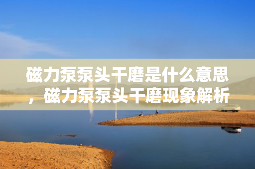 磁力泵泵头干磨是什么意思，磁力泵泵头干磨现象解析