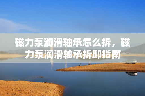 磁力泵润滑轴承怎么拆，磁力泵润滑轴承拆卸指南