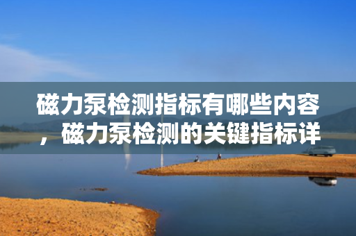磁力泵检测指标有哪些内容，磁力泵检测的关键指标详解