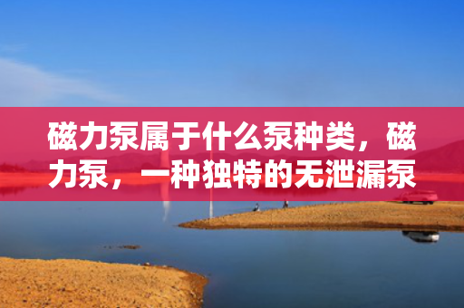 磁力泵属于什么泵种类，磁力泵，一种独特的无泄漏泵类，了解其分类及特点