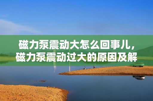 磁力泵震动大怎么回事儿，磁力泵震动过大的原因及解决方法