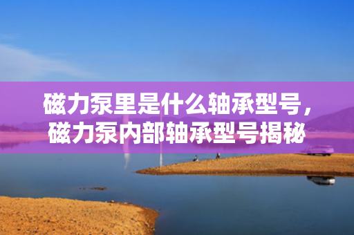 磁力泵里是什么轴承型号，磁力泵内部轴承型号揭秘