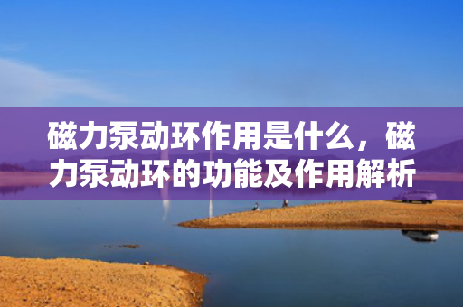 磁力泵动环作用是什么，磁力泵动环的功能及作用解析