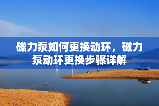 磁力泵如何更换动环，磁力泵动环更换步骤详解