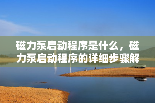 磁力泵启动程序是什么，磁力泵启动程序的详细步骤解析