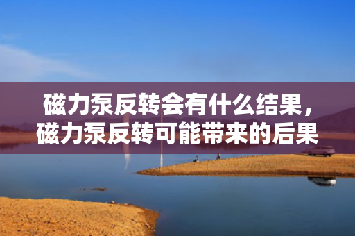 磁力泵反转会有什么结果，磁力泵反转可能带来的后果