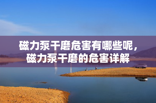 磁力泵干磨危害有哪些呢，磁力泵干磨的危害详解