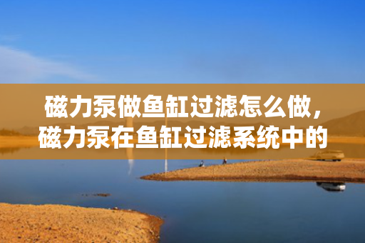 磁力泵做鱼缸过滤怎么做，磁力泵在鱼缸过滤系统中的应用方法