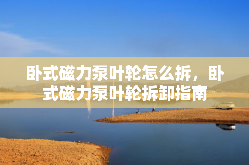 卧式磁力泵叶轮怎么拆，卧式磁力泵叶轮拆卸指南