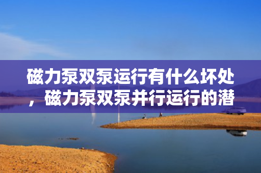 磁力泵双泵运行有什么坏处，磁力泵双泵并行运行的潜在风险