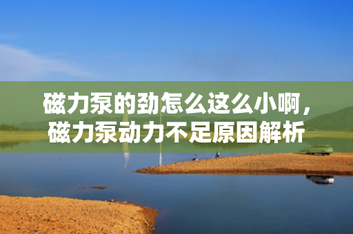 磁力泵的劲怎么这么小啊，磁力泵动力不足原因解析