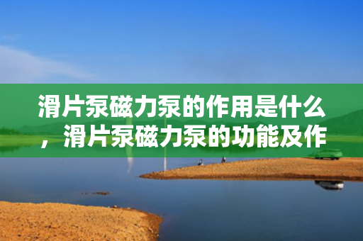 滑片泵磁力泵的作用是什么，滑片泵磁力泵的功能及作用解析