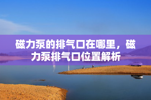 磁力泵的排气口在哪里，磁力泵排气口位置解析