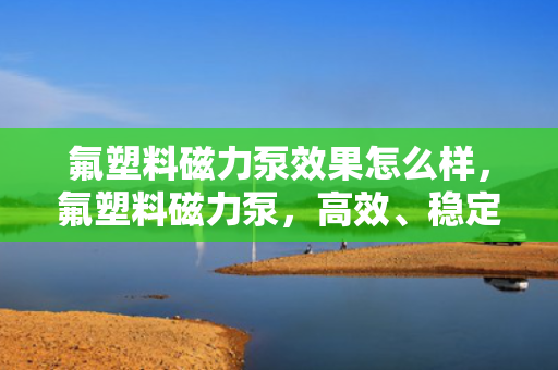 氟塑料磁力泵效果怎么样，氟塑料磁力泵，高效、稳定的流体输送解决方案