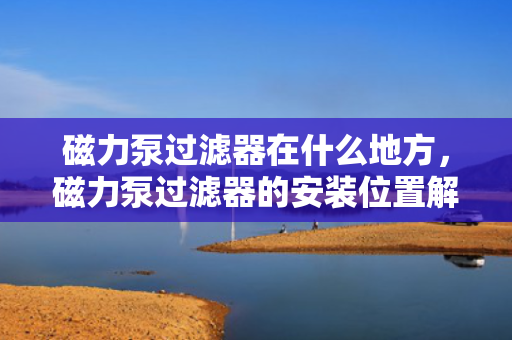 磁力泵过滤器在什么地方，磁力泵过滤器的安装位置解析