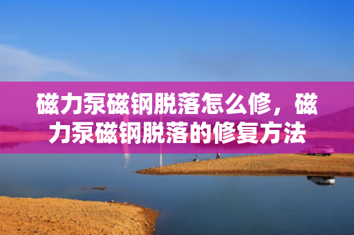 磁力泵磁钢脱落怎么修，磁力泵磁钢脱落的修复方法