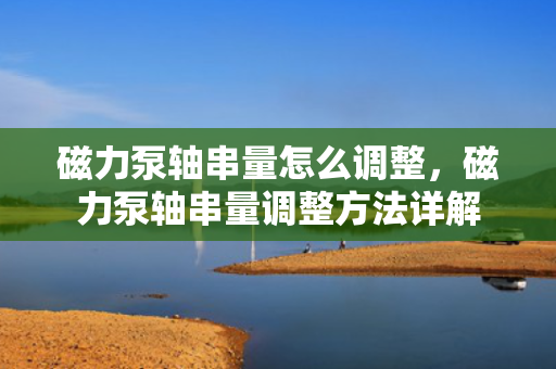 磁力泵轴串量怎么调整，磁力泵轴串量调整方法详解