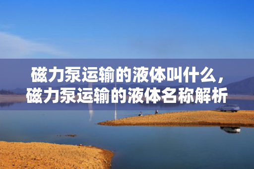 磁力泵运输的液体叫什么，磁力泵运输的液体名称解析