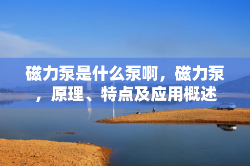 磁力泵是什么泵啊，磁力泵，原理、特点及应用概述